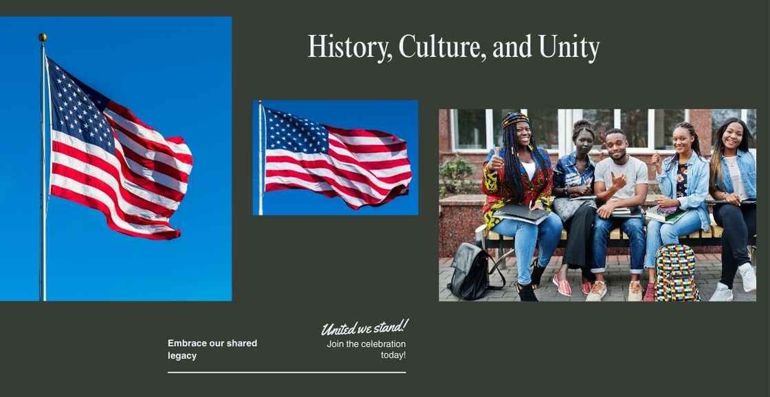 AMERICA FLAG