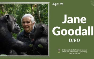 How Jane Goodall Died: Her Legacy in Primate Research Jane Goodall Died