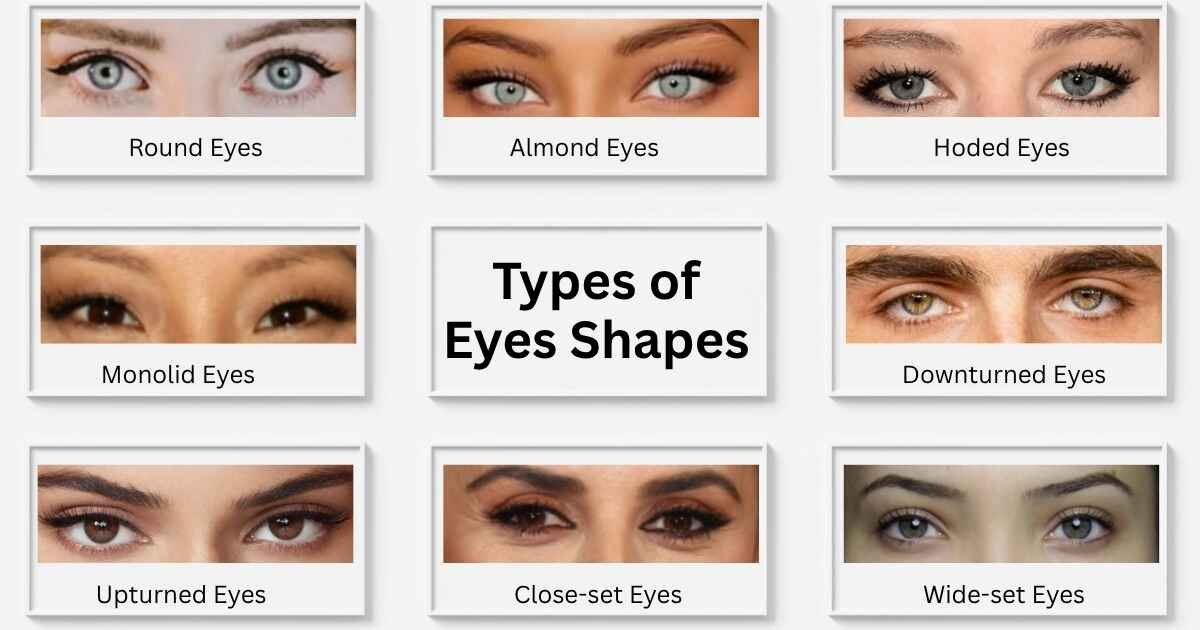 eye types